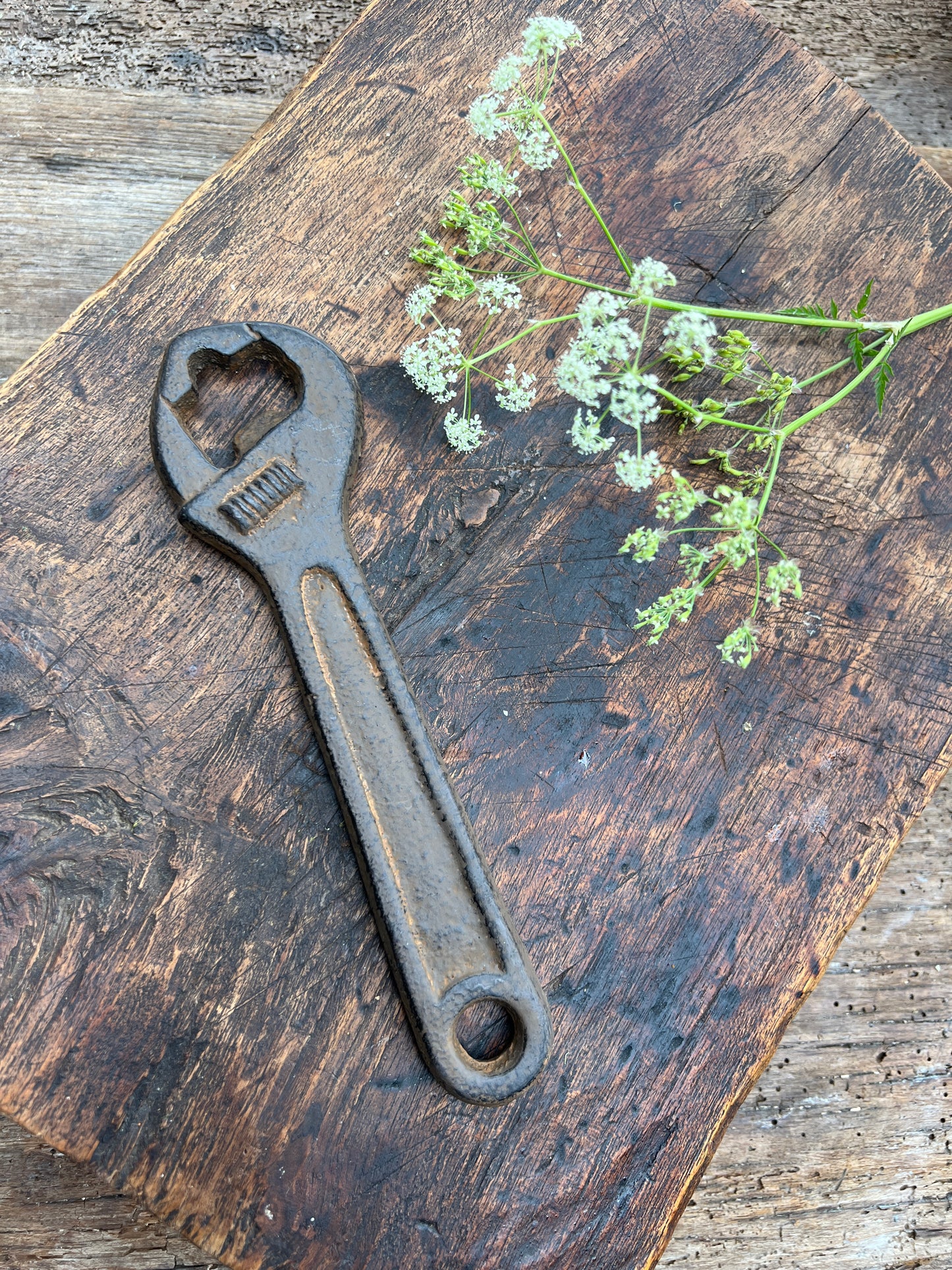 Opener Baco, made of wrought iron