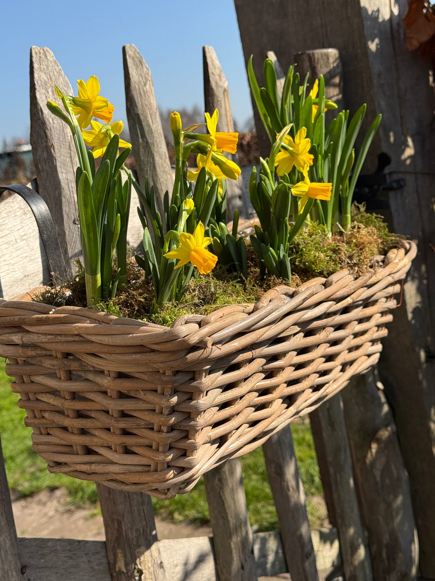 Rattan planter with plastic inner container