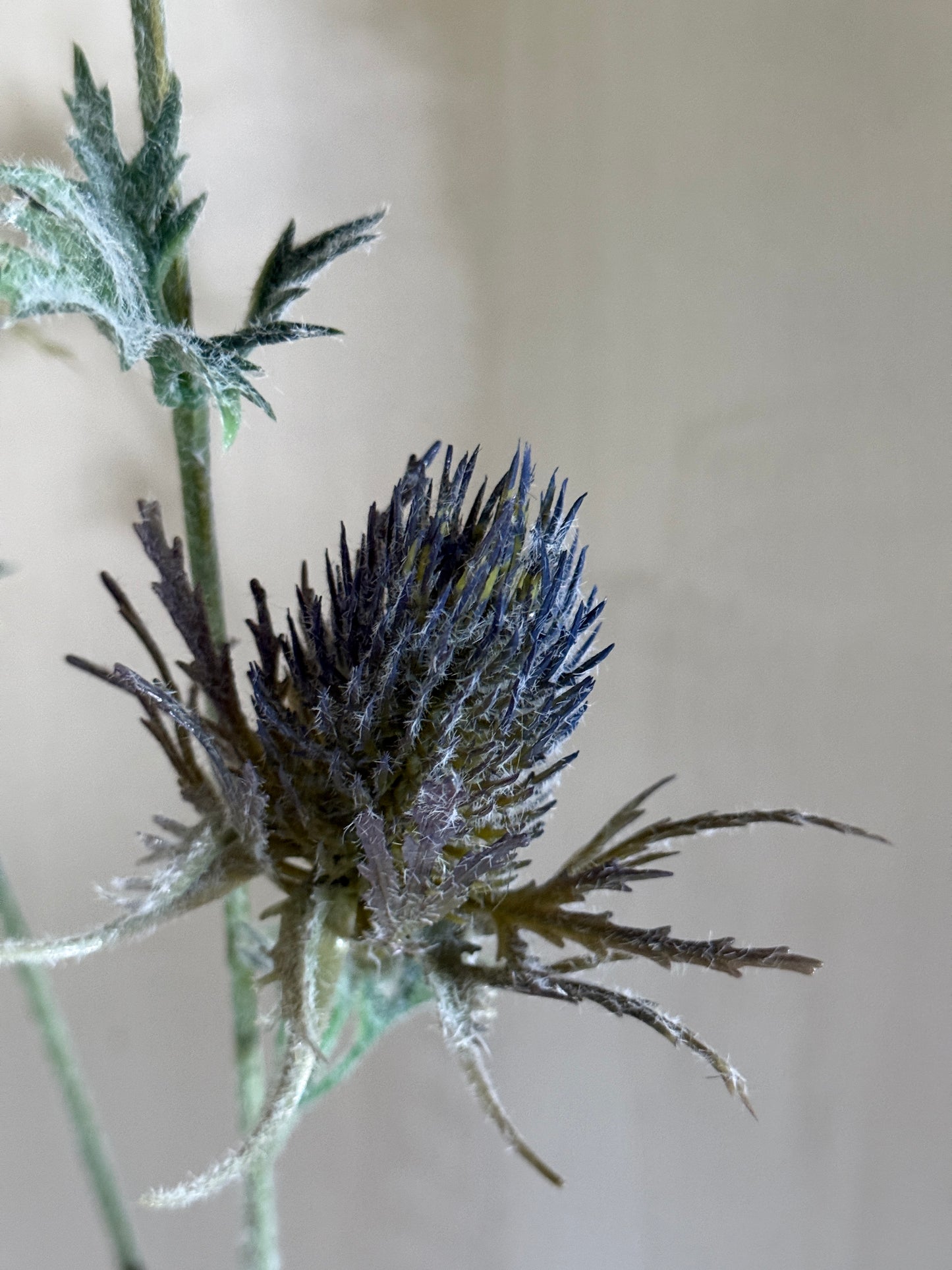 Artificial branch Wild Thistle – 40 cm
