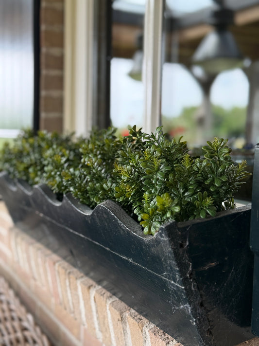 Artificial Boxwood in Black Pot