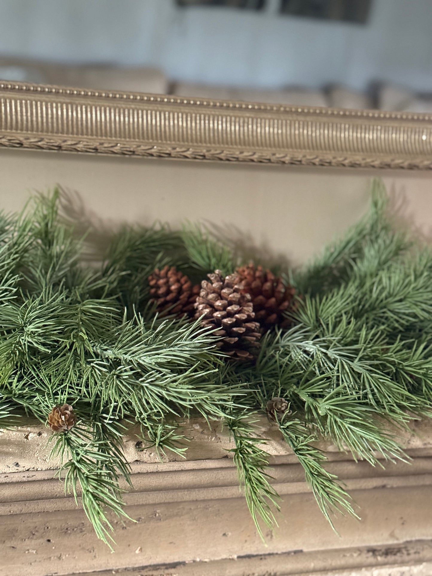 Christmas tuft cedar