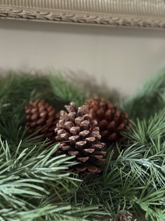 Christmas tuft cedar