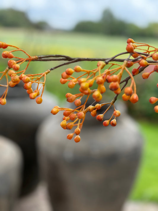 Rosehip Branch Artificial Orange XXL Fine