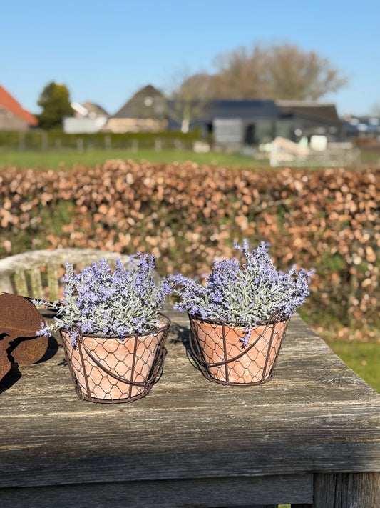 Terracotta plant pot in wire basket with handle