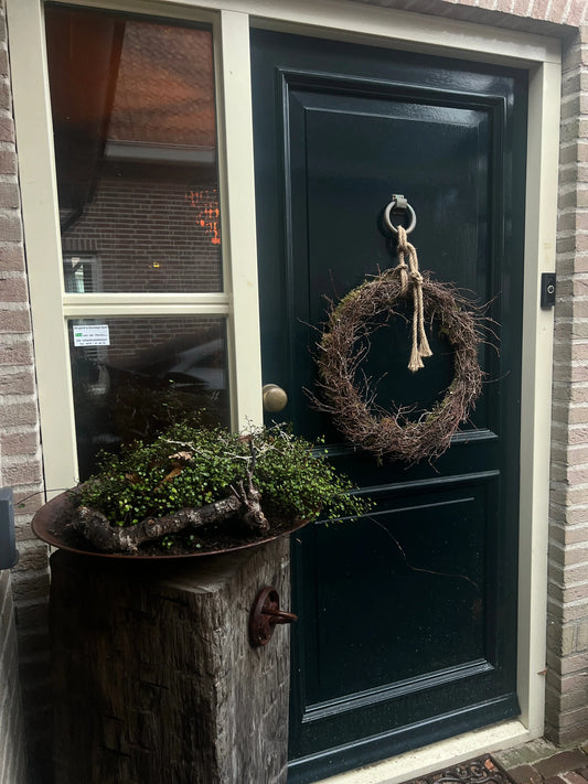 Wreath moss bonsai