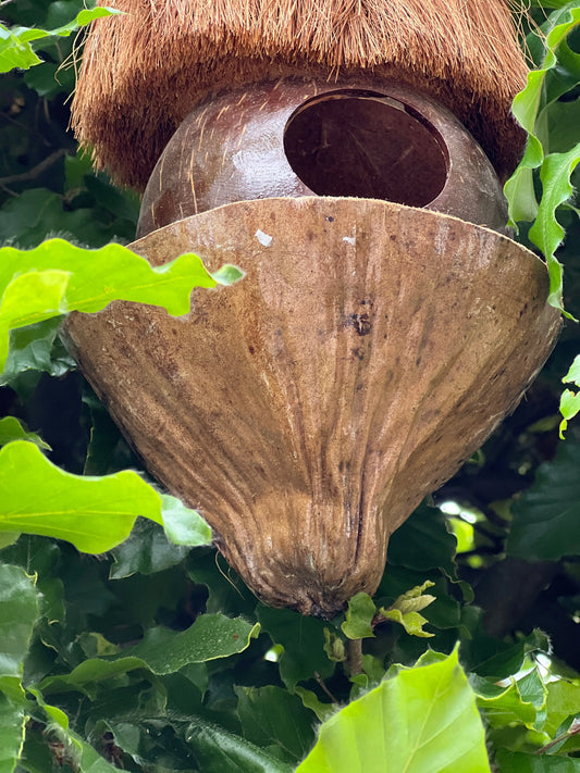 Vogelhuisje kokosnoot