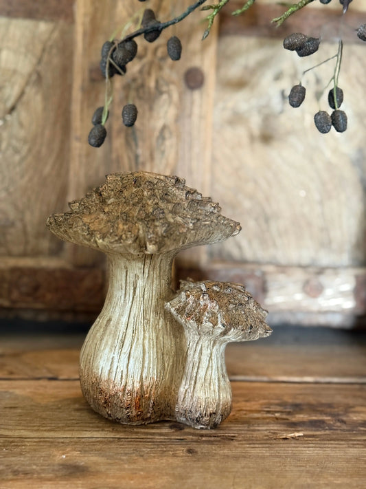 Pilz Double-Left auf dem Foto
