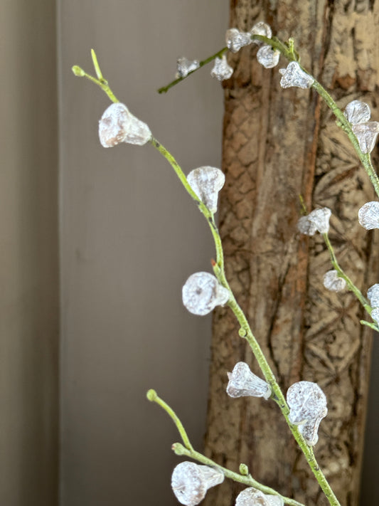 Eucalyptus Seeds Spray – 102 cm