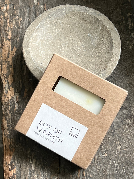 Soap bar "Tea Tree" Box of Warmth
