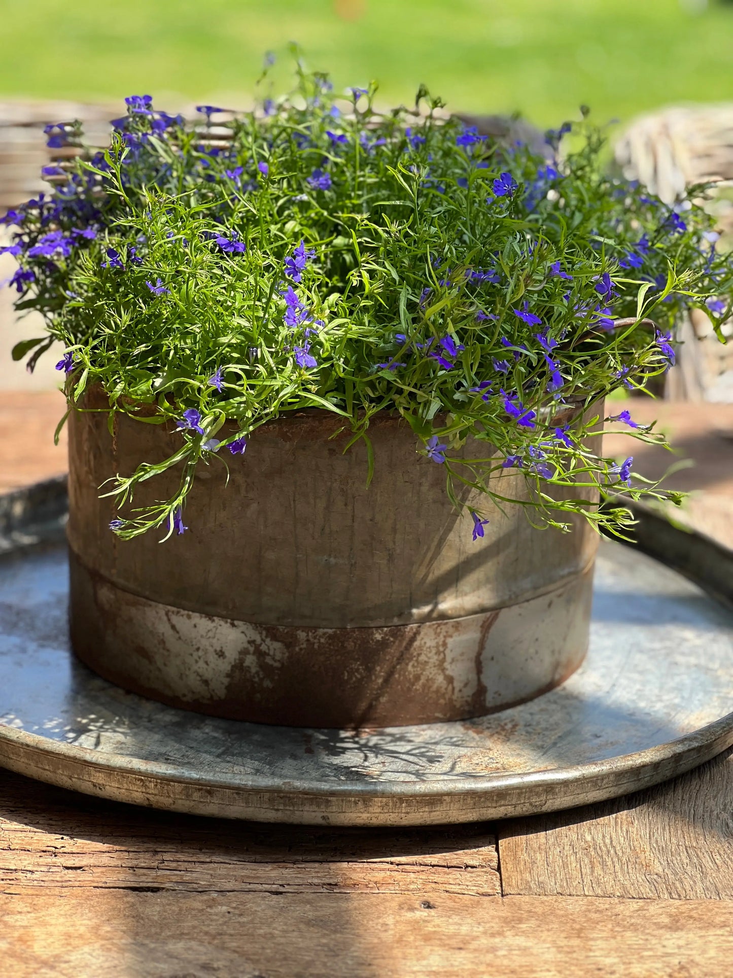 Tough metal pot with handles