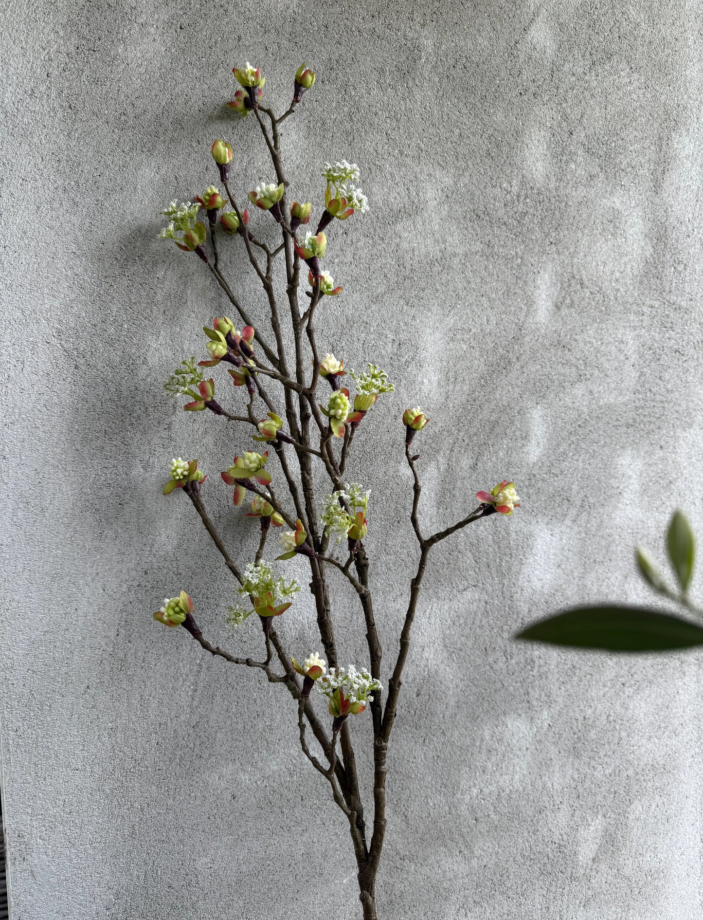Bloesemtak kunst – wit