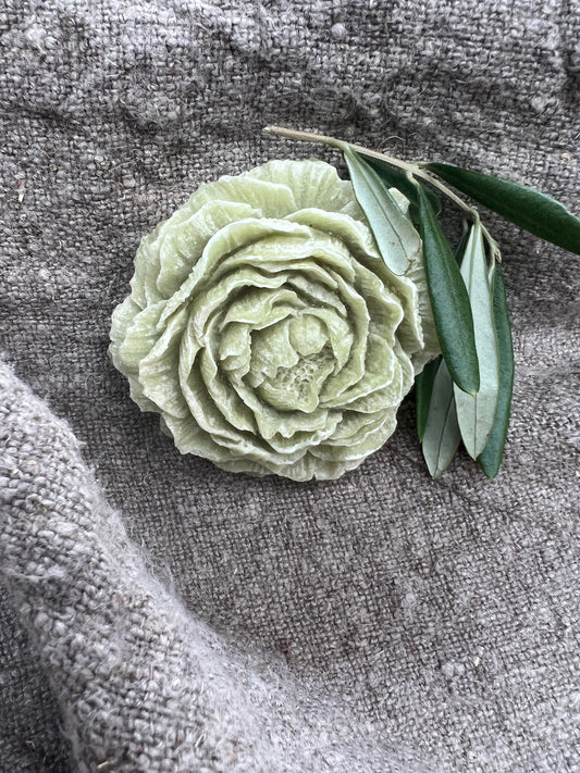 Amber rose eucapyptus