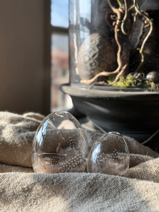 Glass Egg with Feathers and LED Lighting
