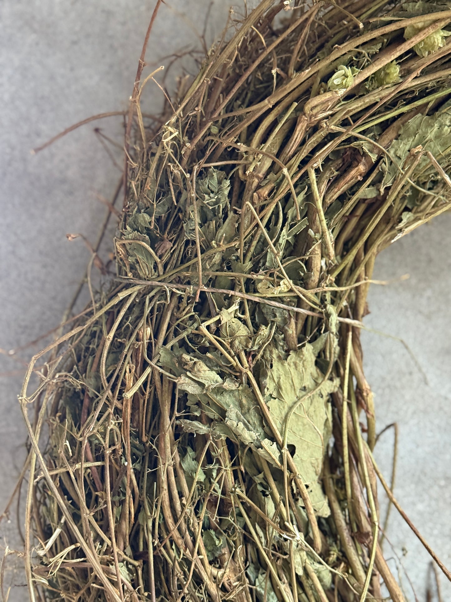 Hop Plant Wreath 65 cm.