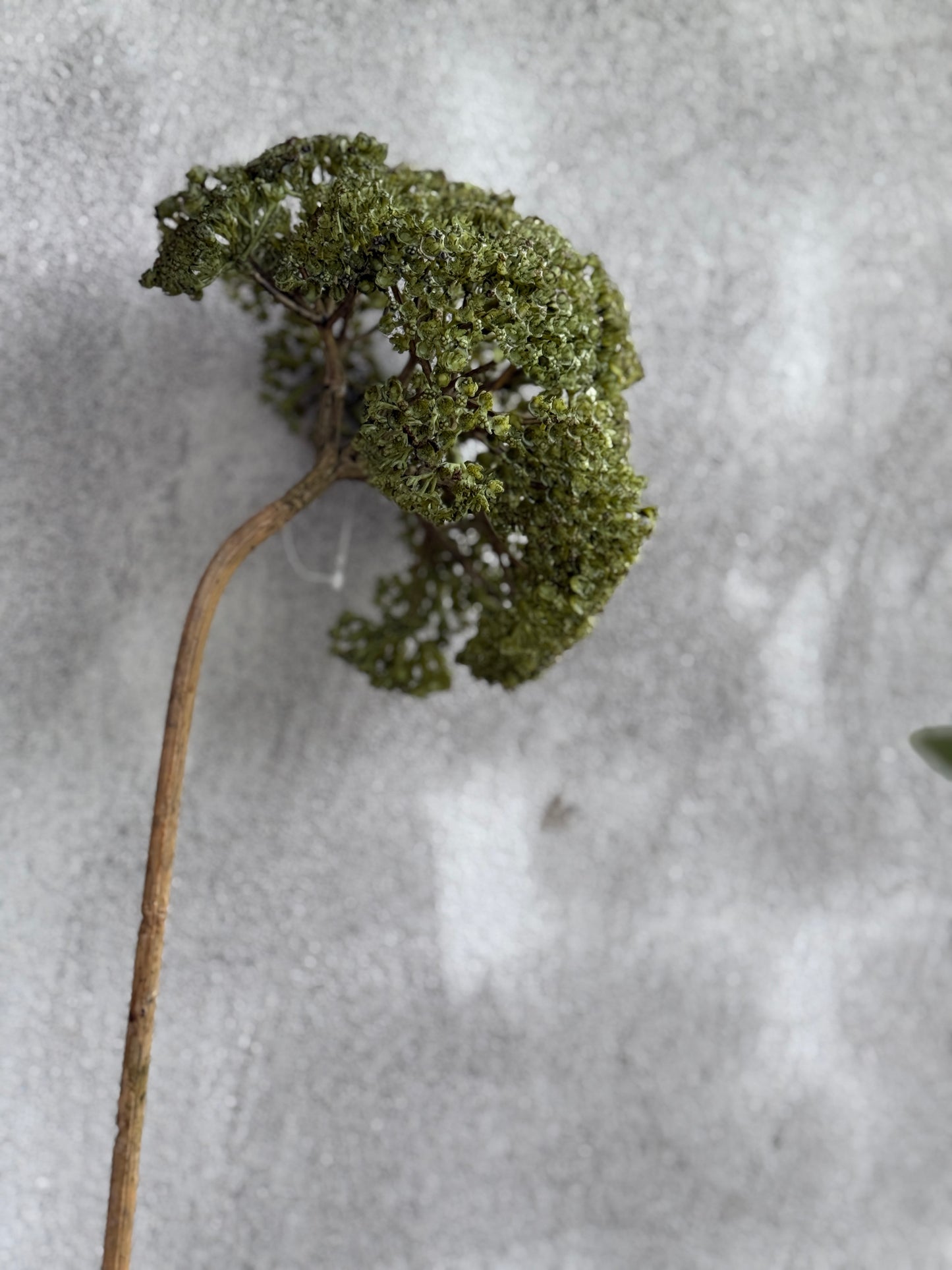 Artificial branch Achillea – Green