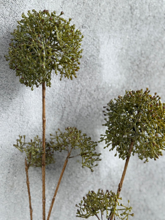 Eupatorium–Green Art Branch