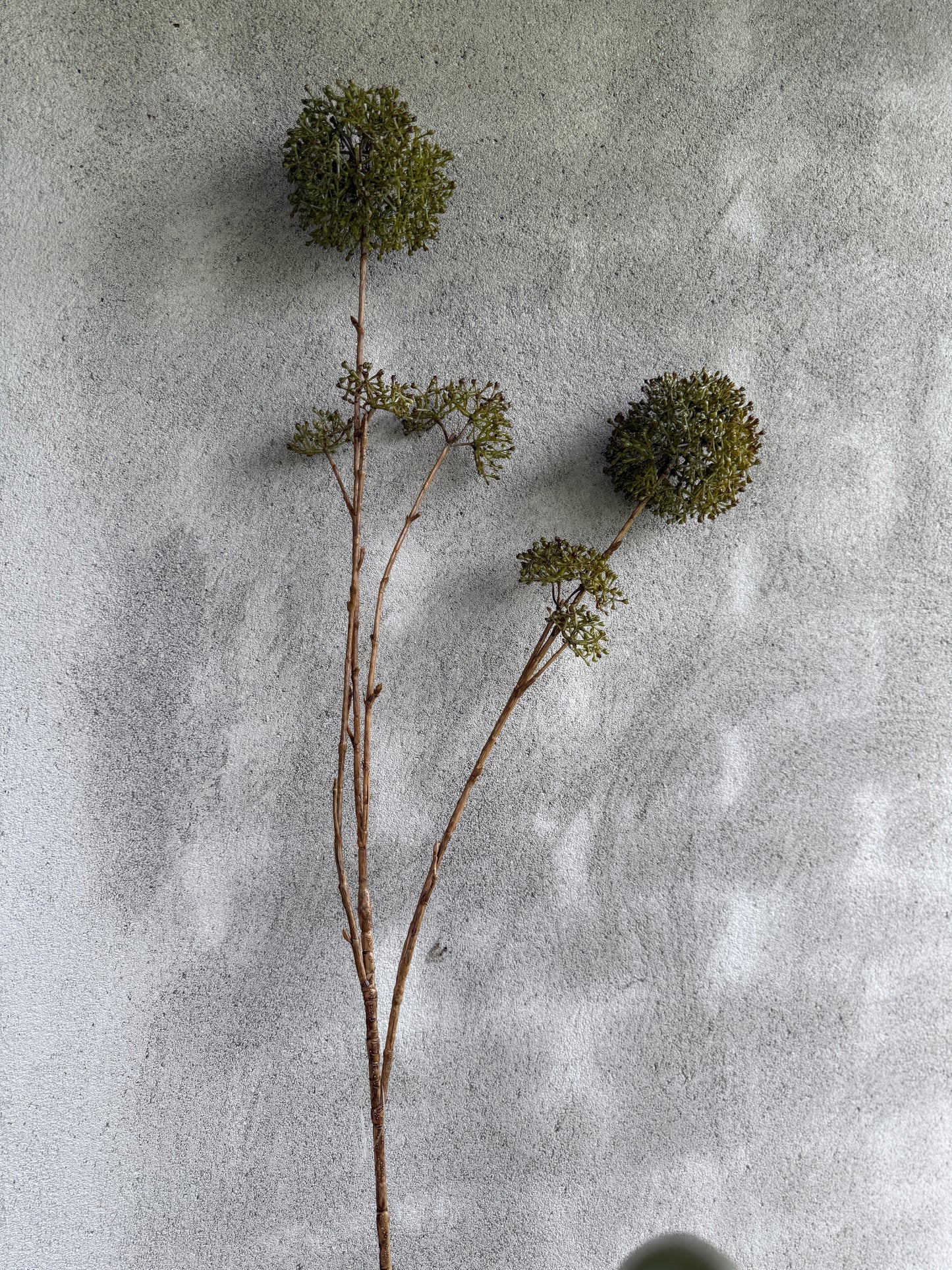 Eupatorium–Green Art Branch