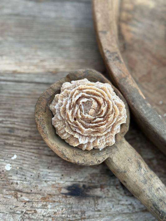 Amber rose "Amber Gold