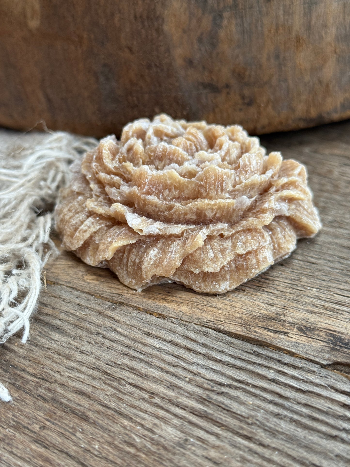 Amber rose "Amber Gold