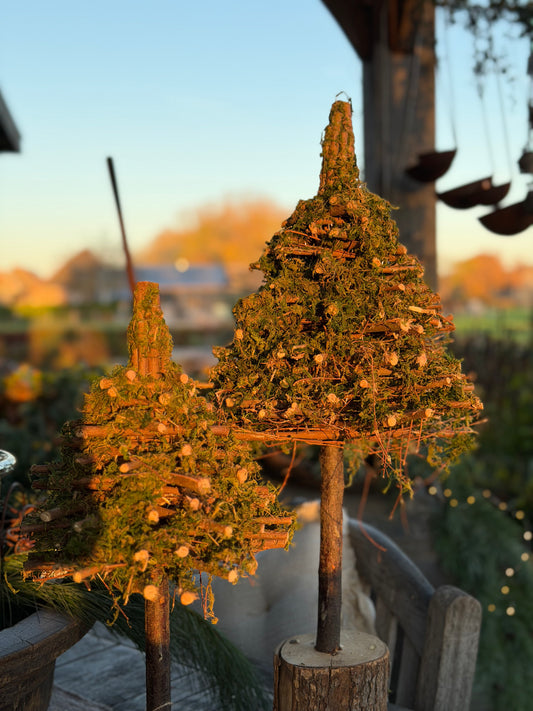 Moss Trees | 2 SM Variants