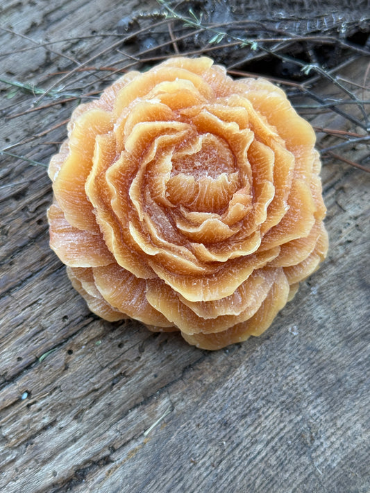 Aroma amber rose "Sandal Wood "