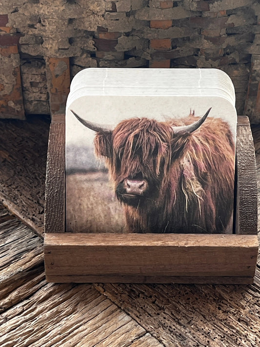 Onderzetter Buffel ( lichte achtergrond) in houder.