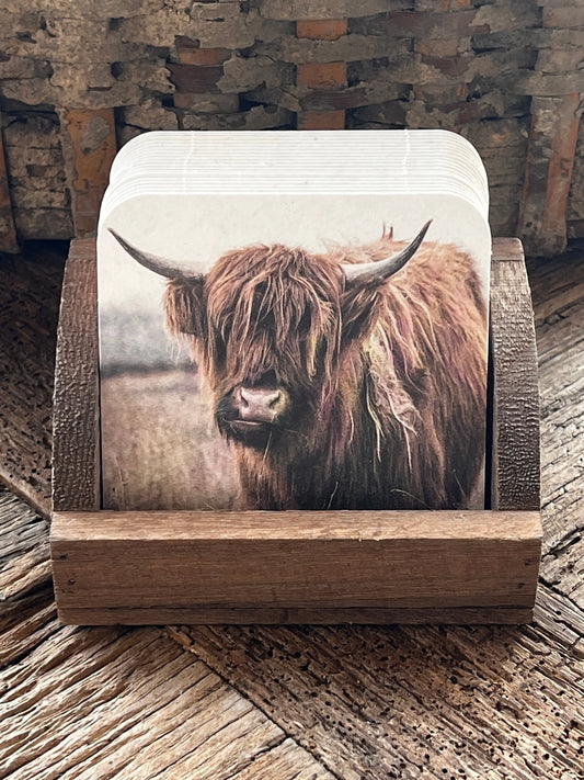 Untersetzer Buffalo (heller Hintergrund) im Halter.