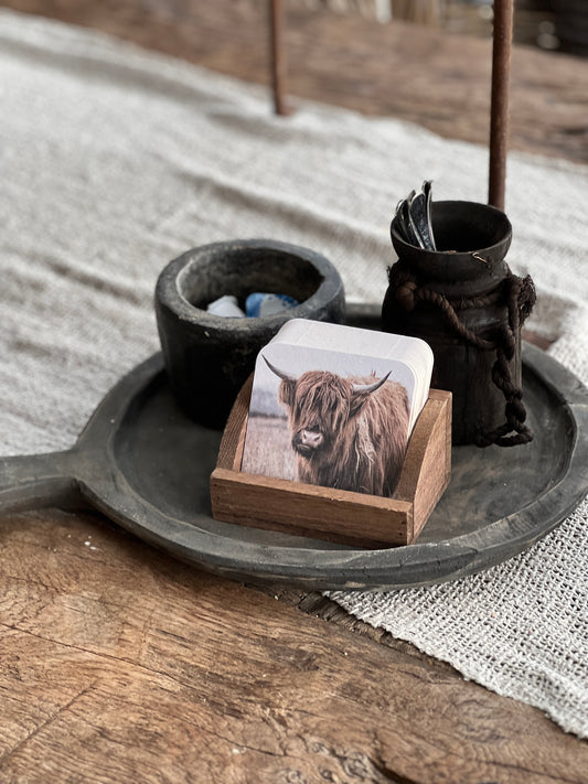 Coaster Buffalo (light background) in holder.