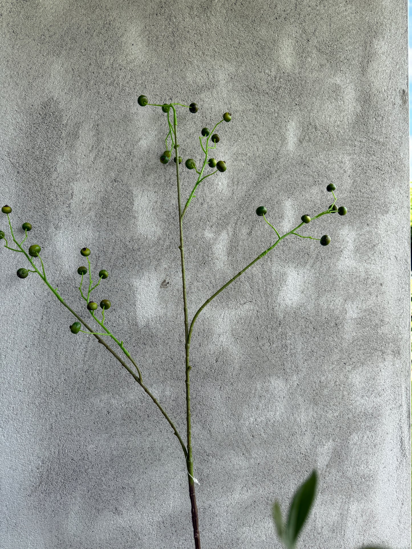 Artificial Green Rosaly Branch – 100 cm