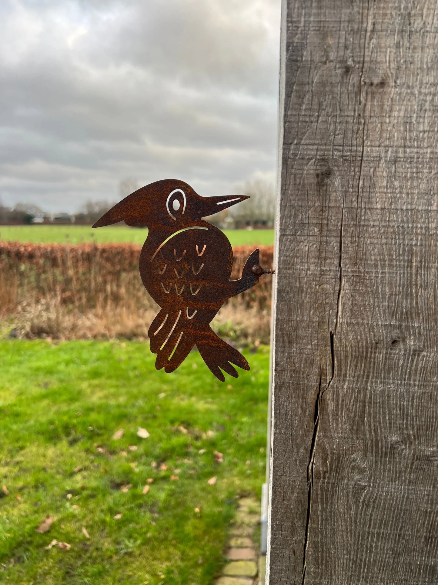 Woodpecker of rust