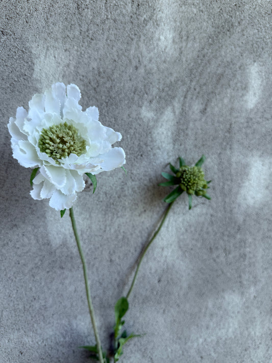 Kunstbloem Scabiosa White – 70 cm