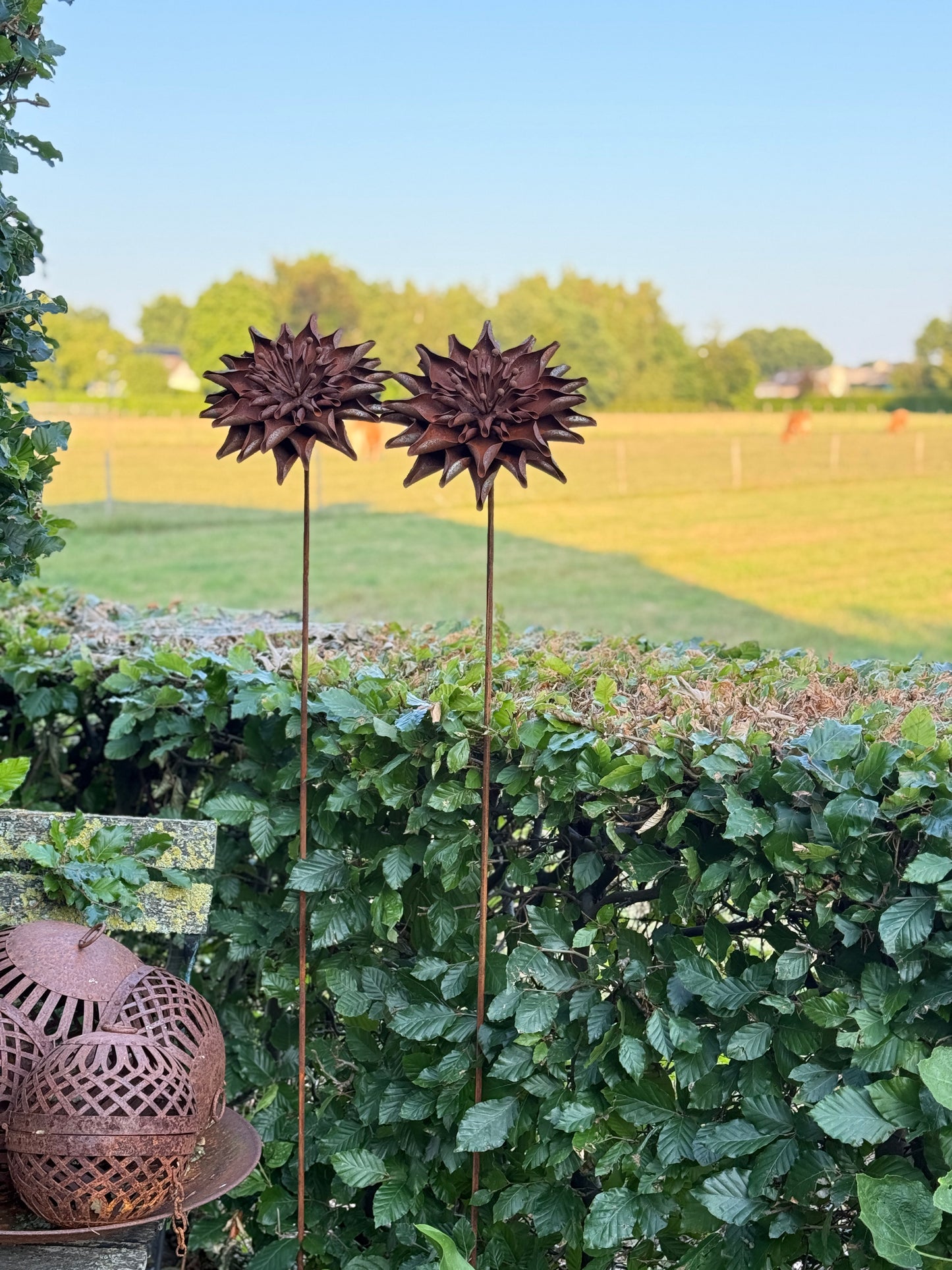 Geroeste metalen Dahlia op steel – 145 cm- Afhaal product