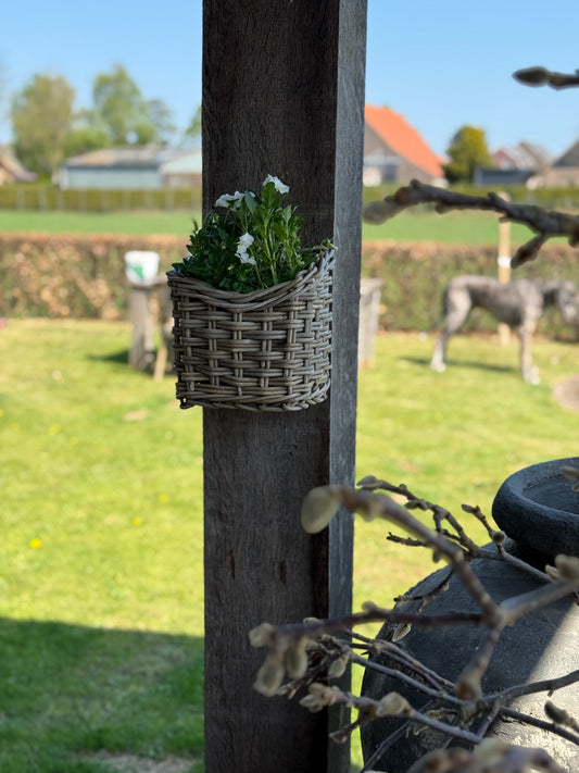 Rattan hanging basket