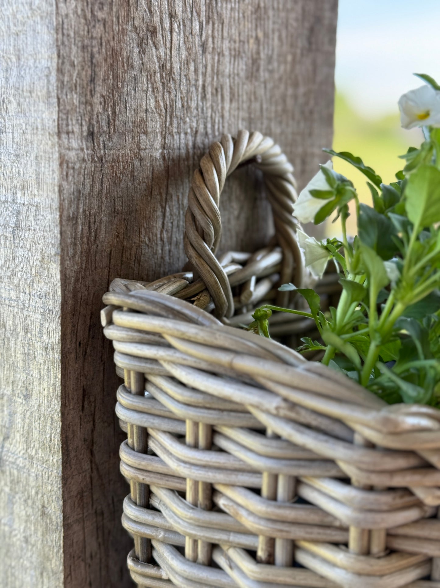 Rattan hanging basket