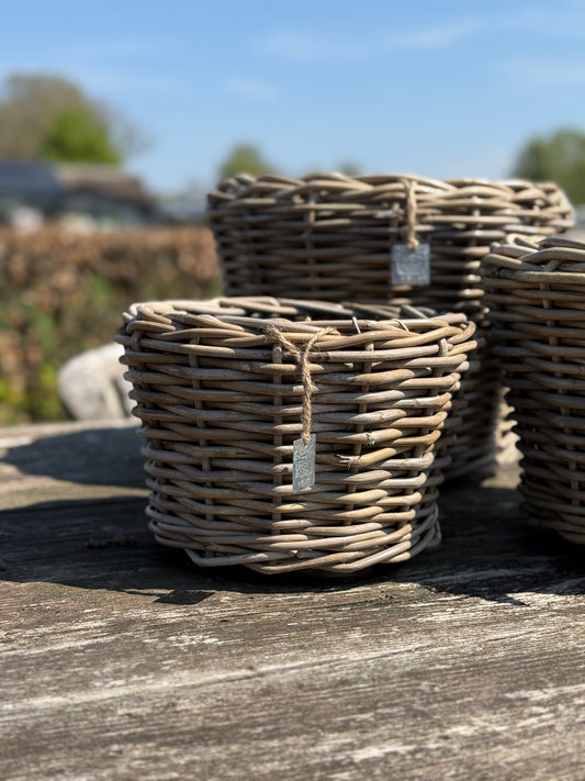 Rattan Baskets with Plastic Inner Pot – S, M, and L