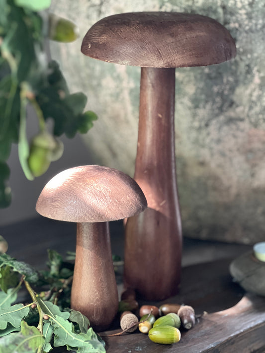 Mushroom, available in M and L