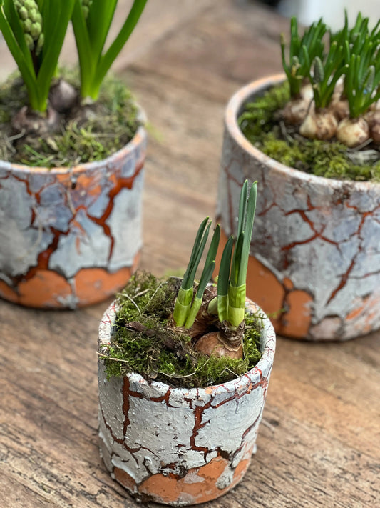 Cylinder pot, verkrijgbaar in S, M en L