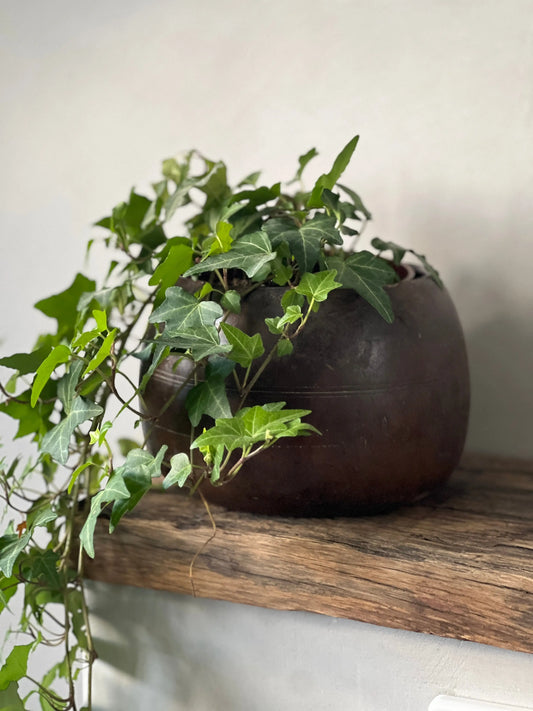 Houten Bakje – Donker Hout