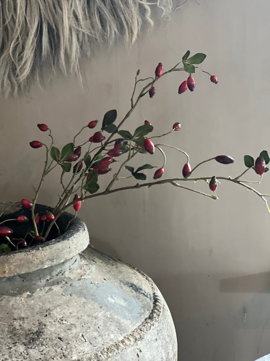 Rosehip branch Red XXL