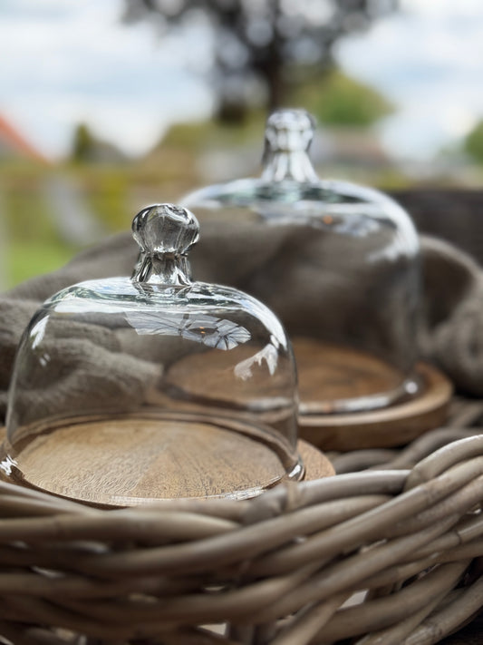 Bell jar set of 2 pieces