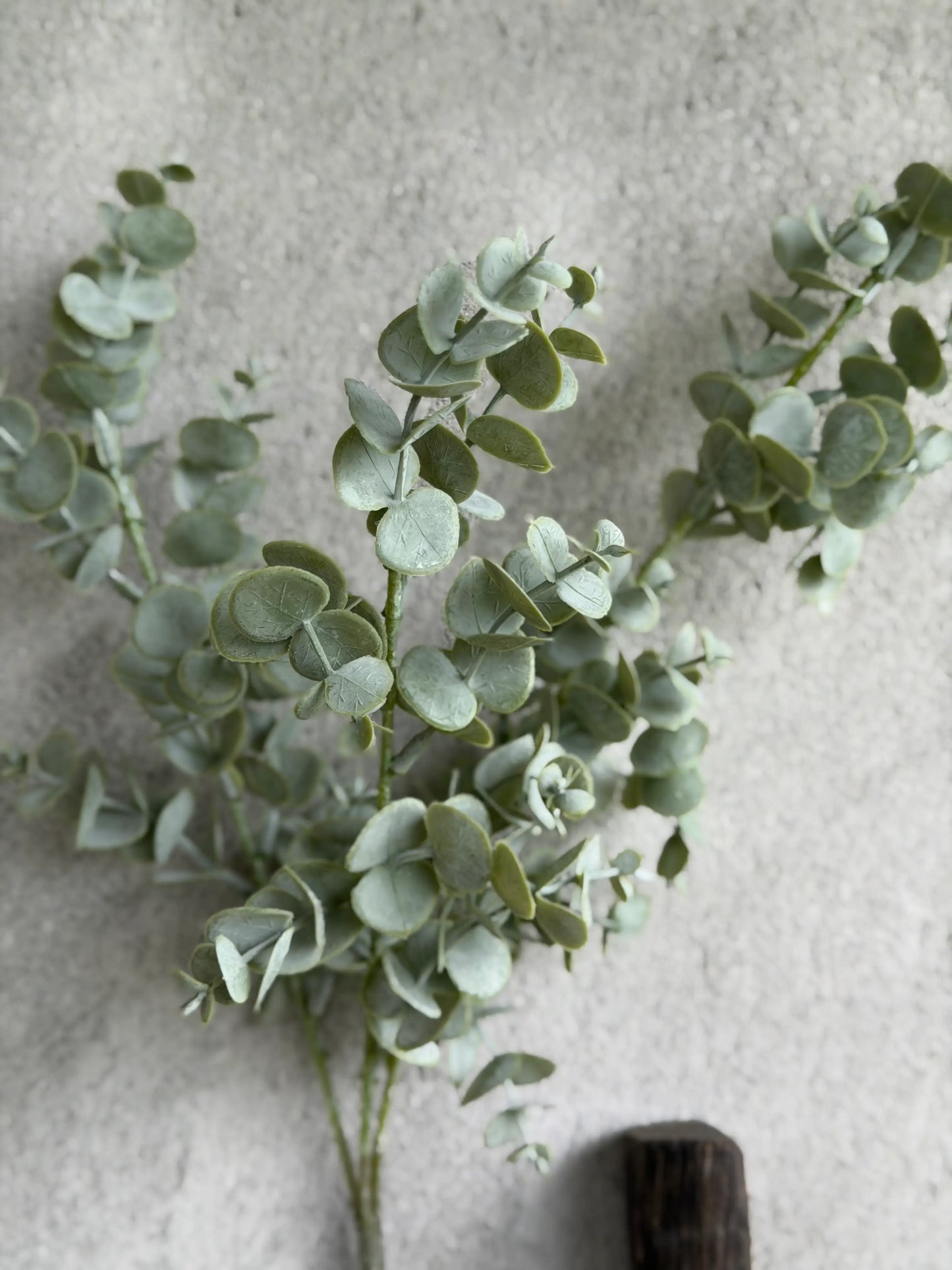 Kunst Eucalyptustak – 63 cm