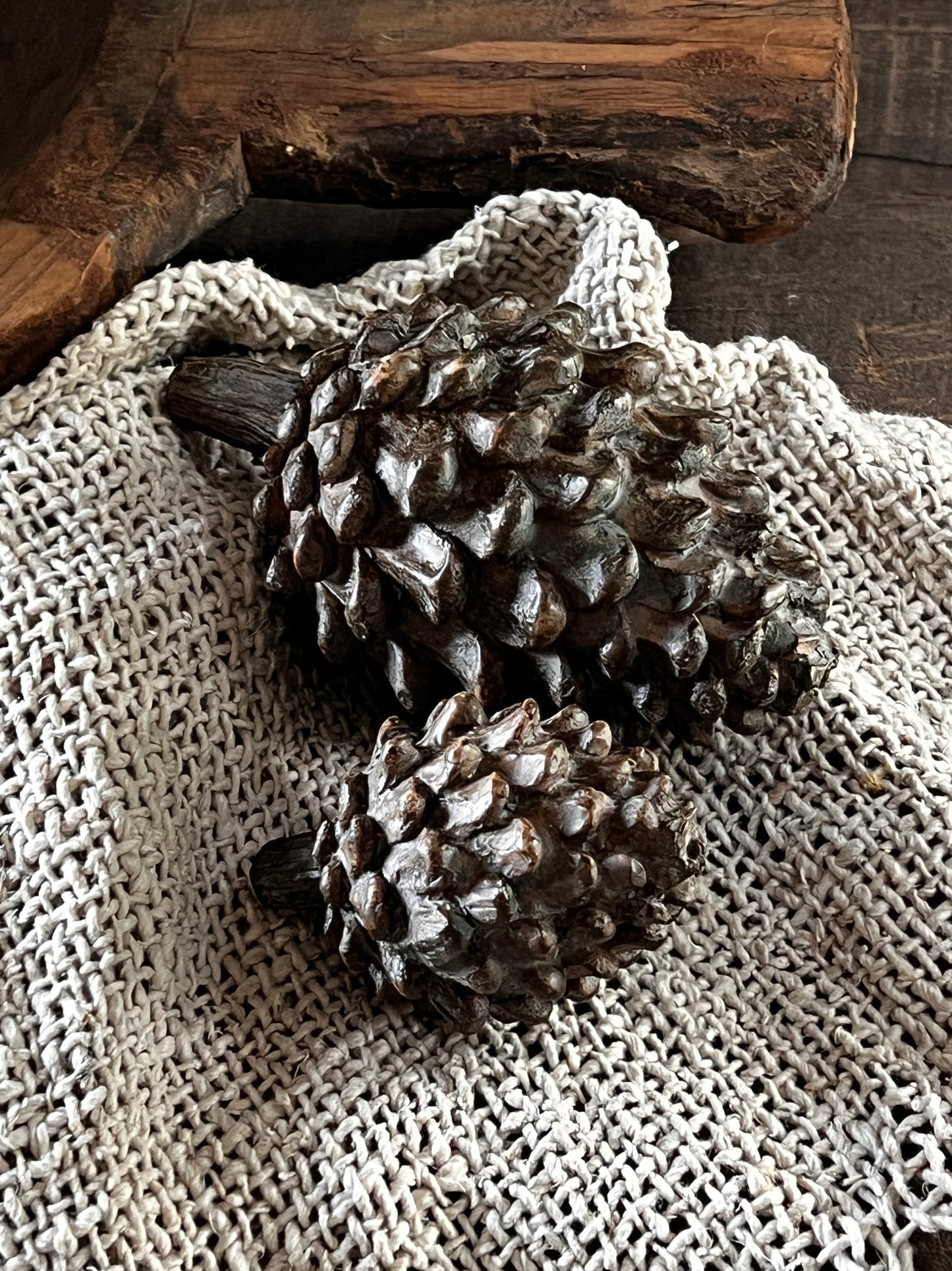 Pine Cone Art, Available in S and M