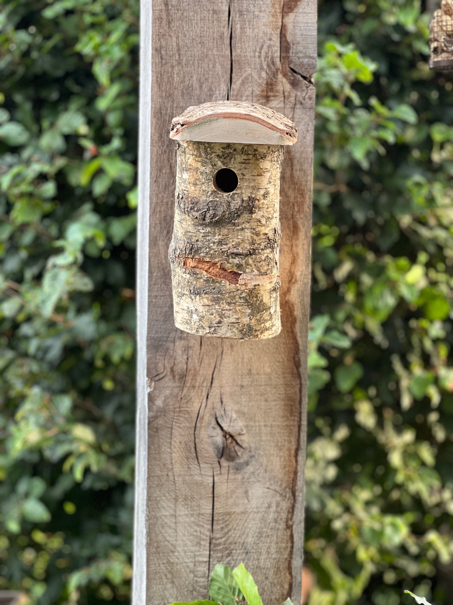 Nest box Blue Tit