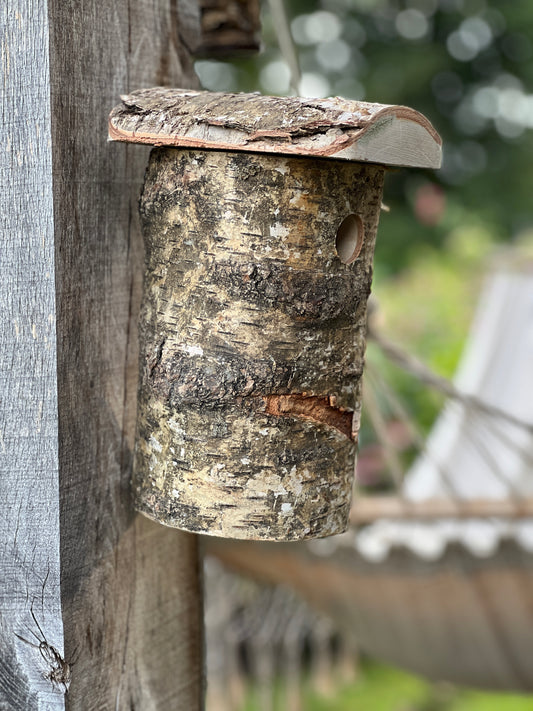 Nest box Blue Tit