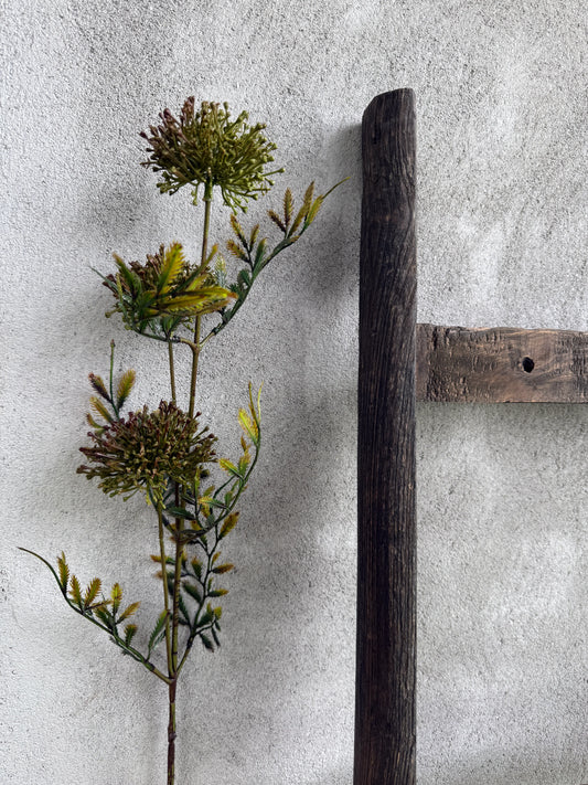 Kunsttak Heracleum groen – 86 cm