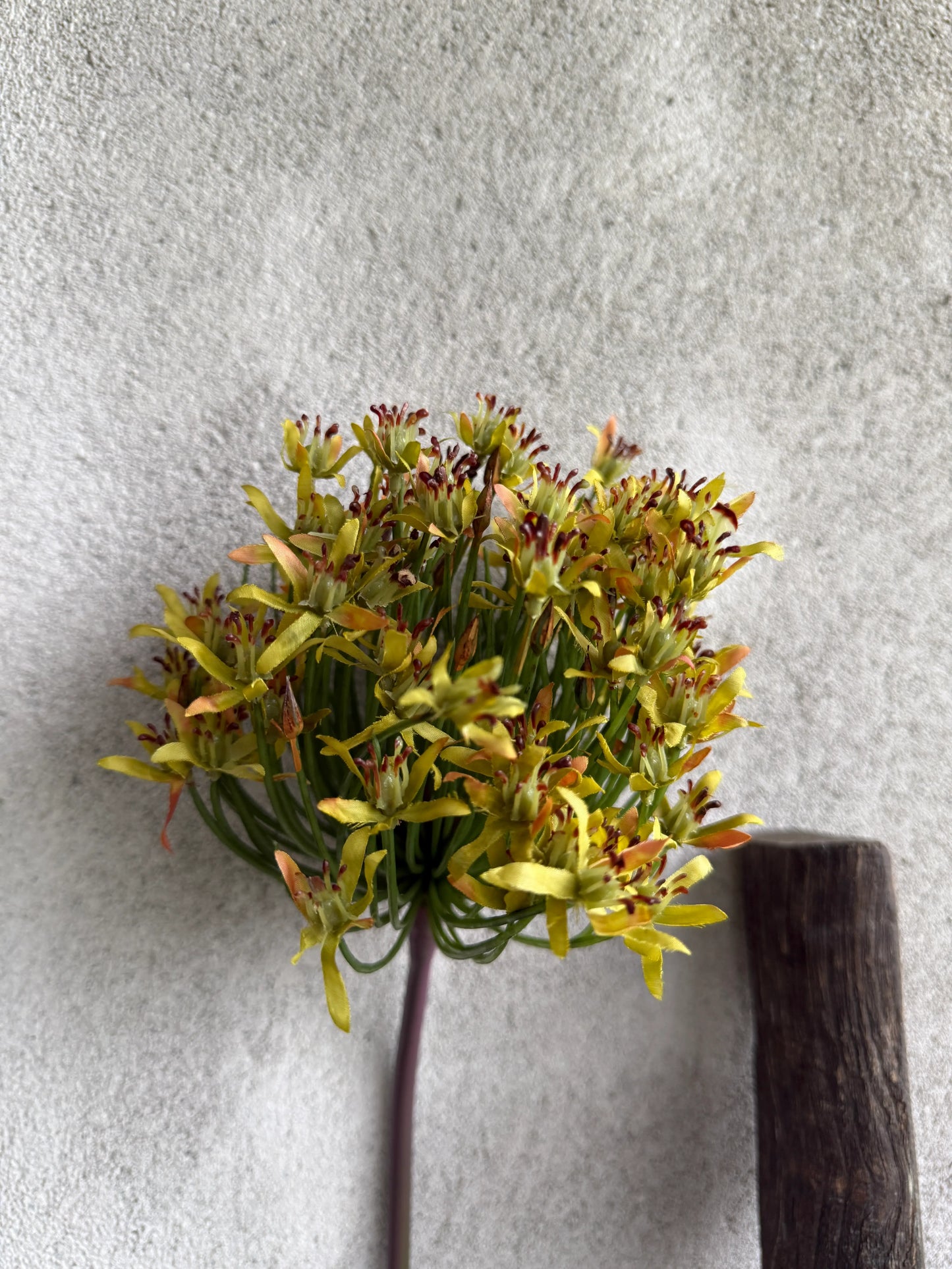Artificial Flower Arabia Allium – 86 cm