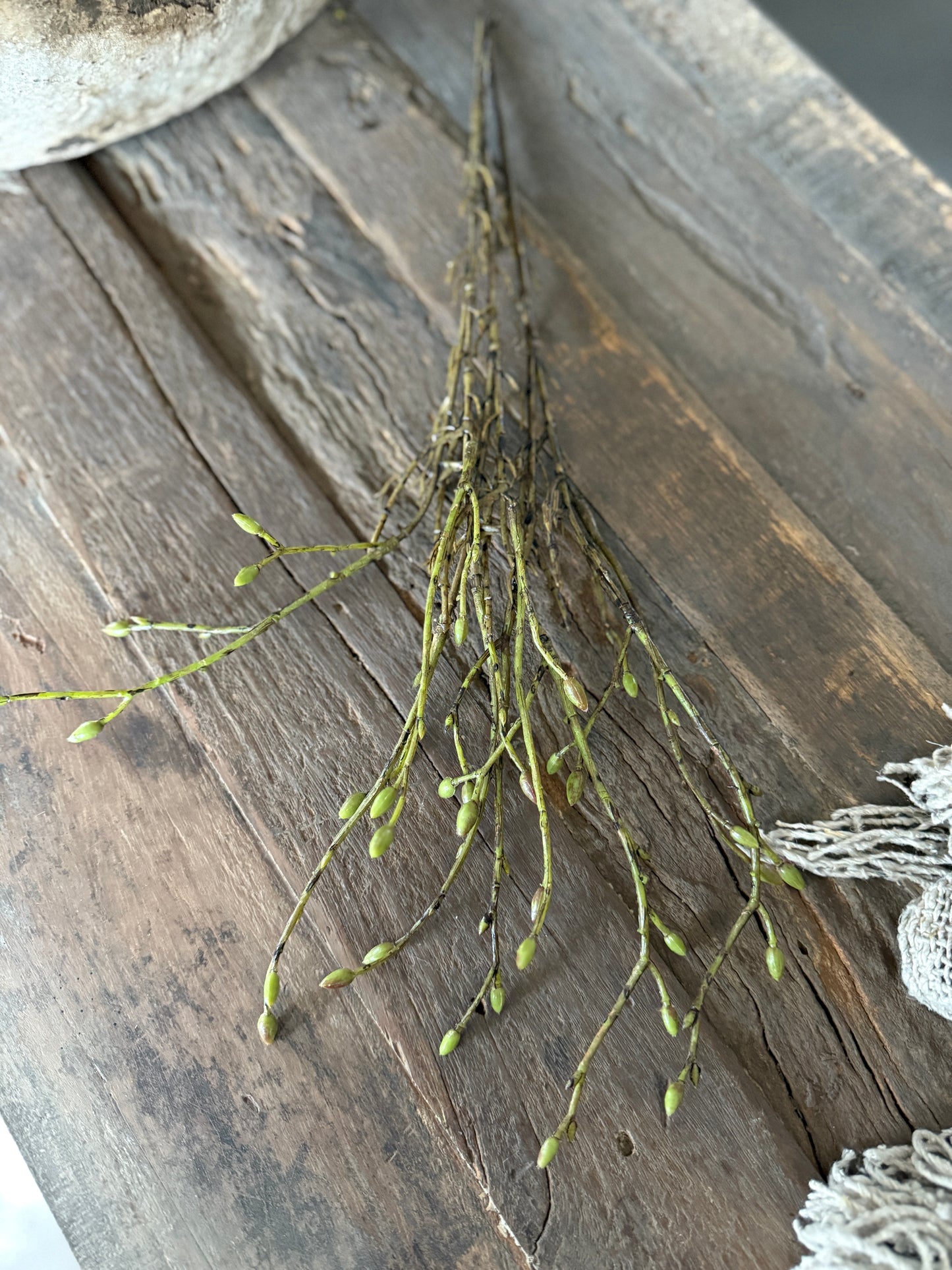 Kunst Tilia Bundel– 3 Takjes groen