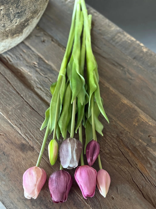 Strauß mit 7 Tulpen, 47 cm. Mauve-Mix