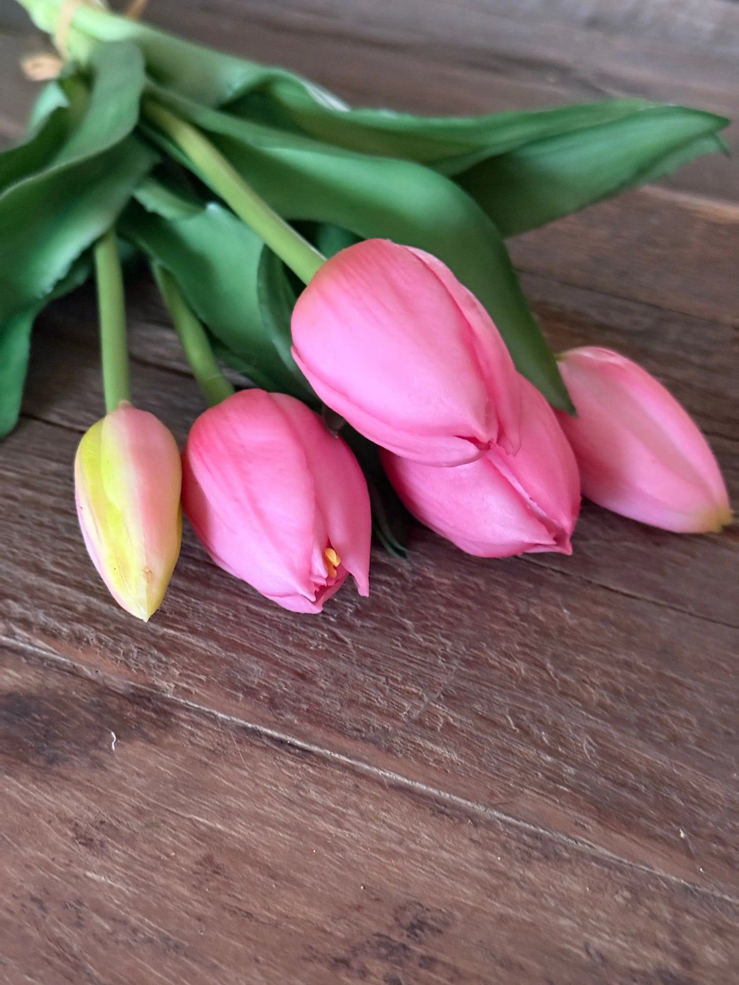 Bund mit 5 Tulpen, 30 cm. Dunkelrosa