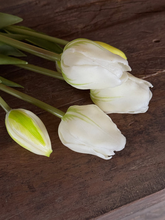 Bos Tulpen, 6 stuks, 47 cm. Wit